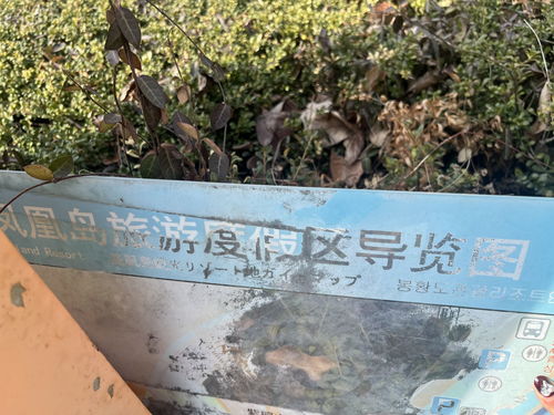 記者在現(xiàn)場 導(dǎo)覽裝置無人維護(hù) 市民呼吁加強(qiáng)管理