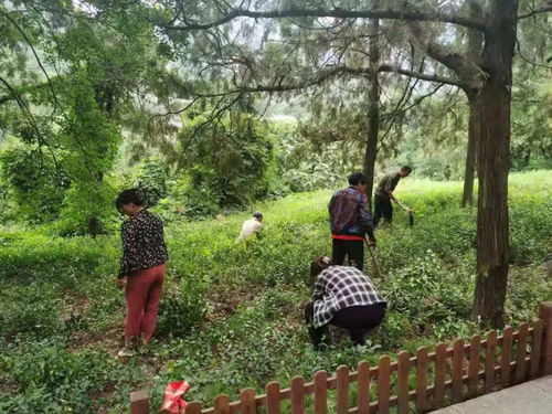 濟南市靈巖寺景區(qū)加強環(huán)境整治,提升景區(qū)旅游品質(zhì)