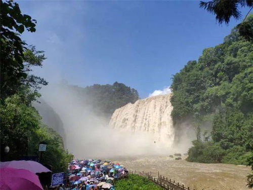 游客注意 即日起,黃果樹景區(qū)開閉園時間有調(diào)整