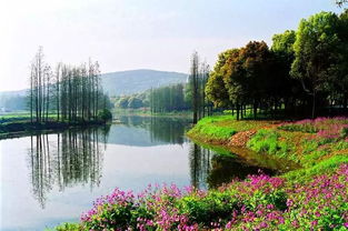 國慶個別景區(qū)門票明降暗升 進(jìn)景區(qū)后每項都單收費