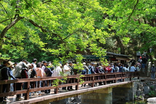 五一 假期前三天 嶗山景區(qū)累計接待游客超20萬人次